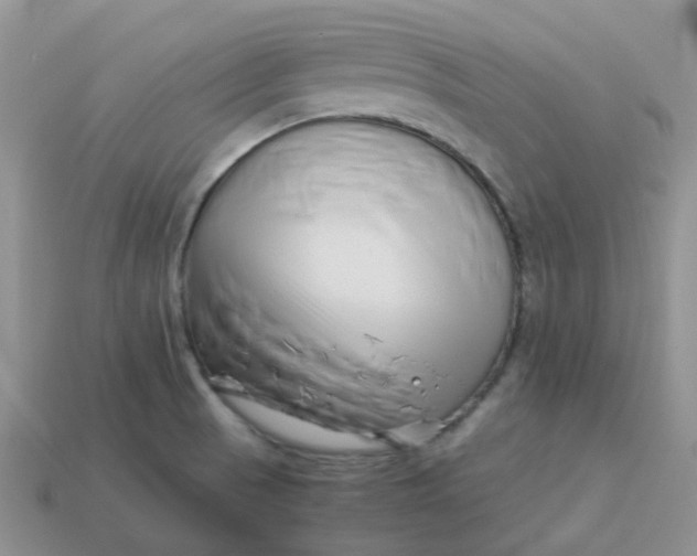 X0000113761521200910141037