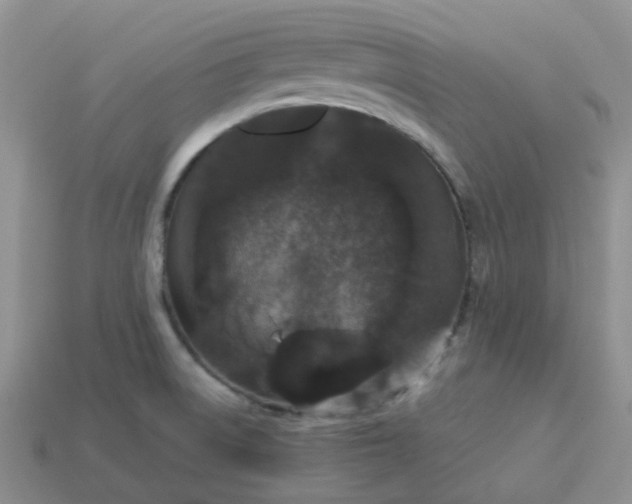 X0000113761522200910141037