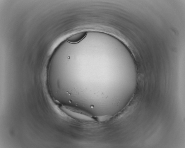 X0000113761523200910141037