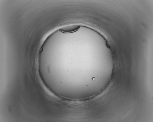 X0000113761526200910141037