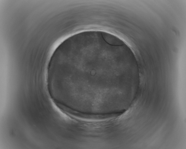 X0000113761527200910141037