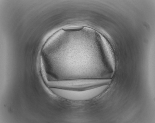 X0000113761528200910141037