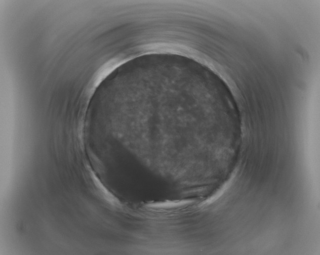 X0000113761529200910141037