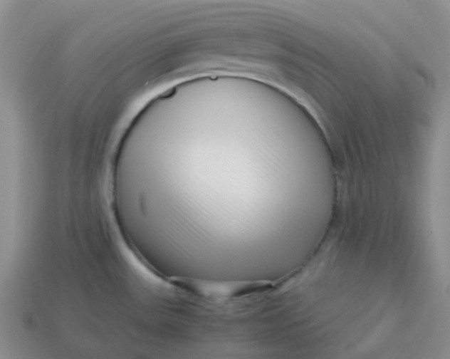 X0000113761531200910141037