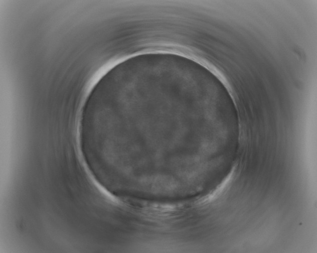 X0000113761533200910141037