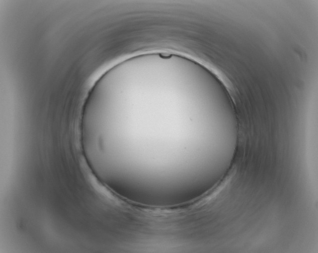 X0000113761534200910141037