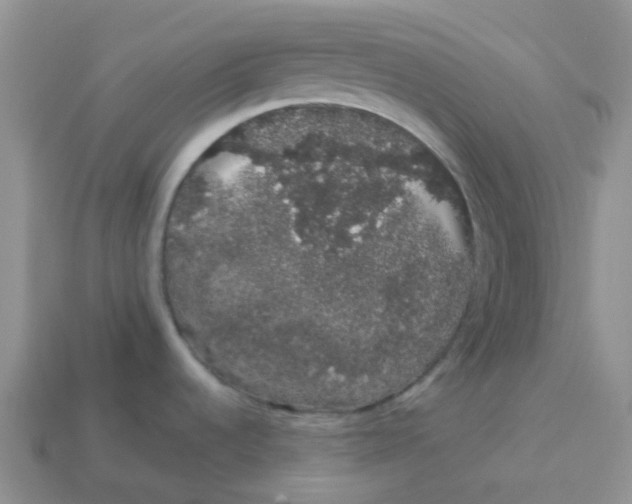 X0000113761536200910141037