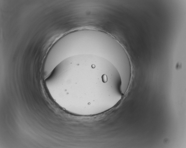 X0000113760001200910211220