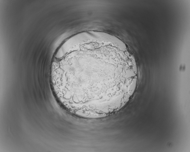 X0000113760003200910211220