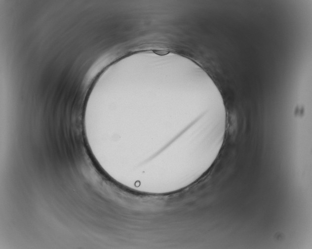 X0000113760004200910211220