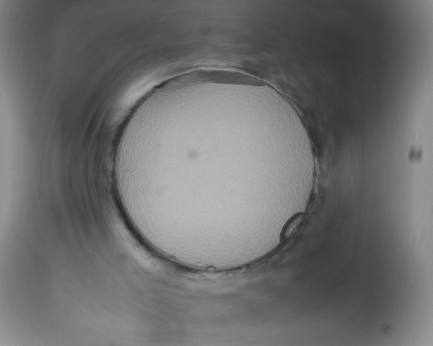 X0000113760005200910211220