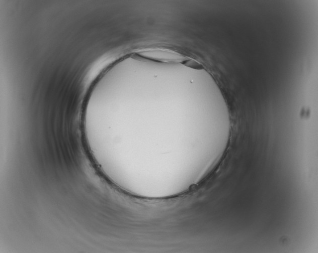X0000113760006200910211220