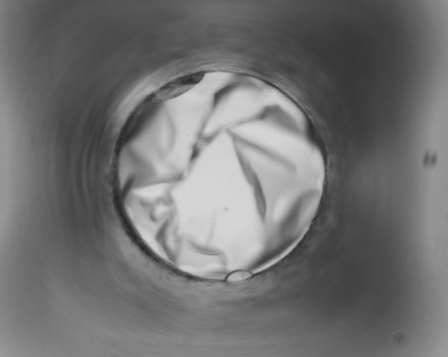 X0000113760007200910211220
