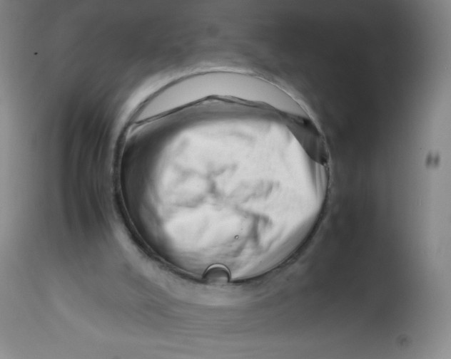 X0000113760008200910211220
