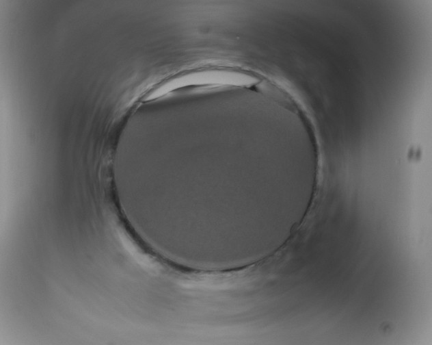X0000113760009200910211220