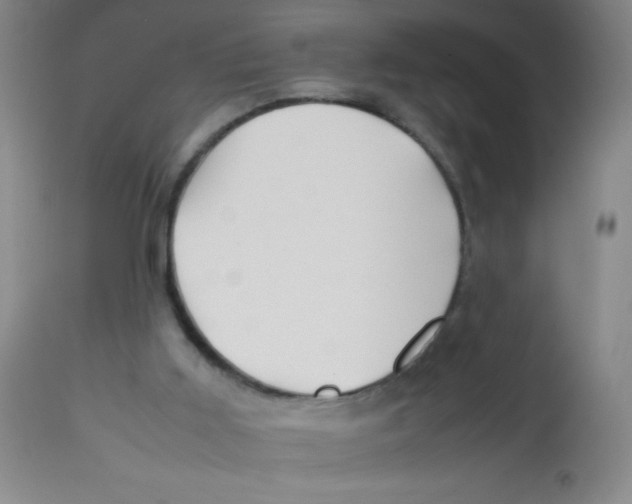 X0000113760011200910211220