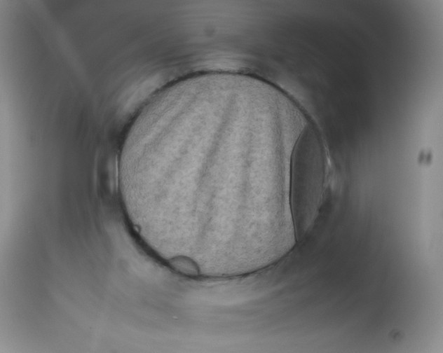 X0000113760013200910211220