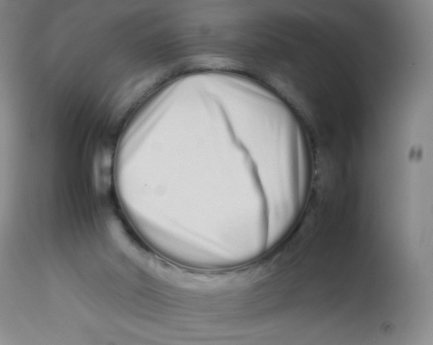 X0000113760014200910211220
