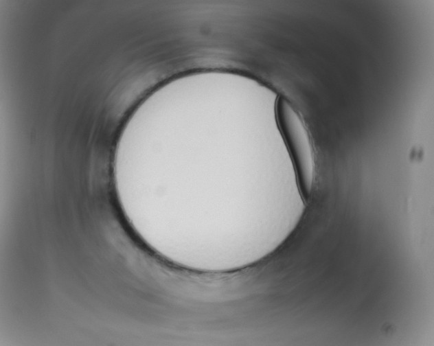 X0000113760015200910211220