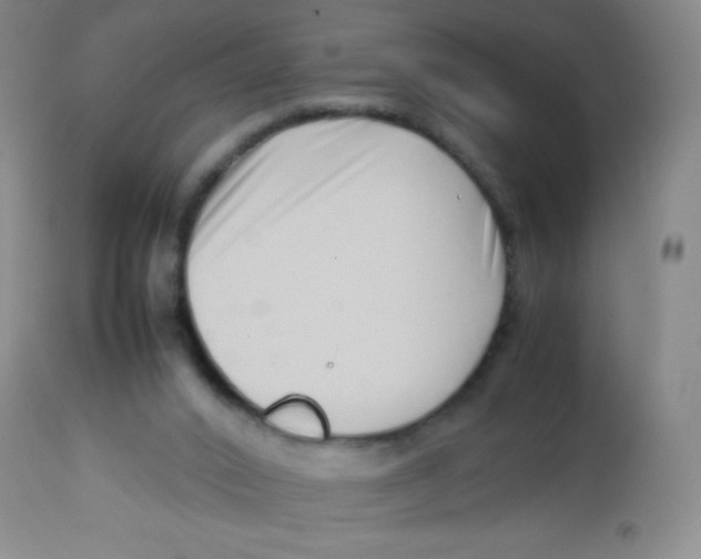 X0000113760016200910211220