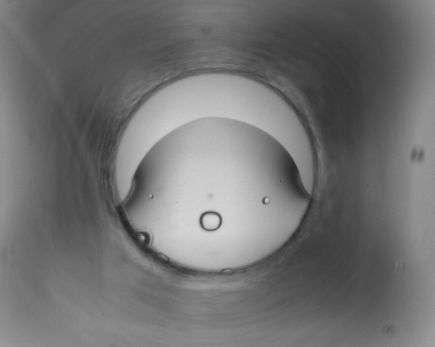 X0000113760017200910211220