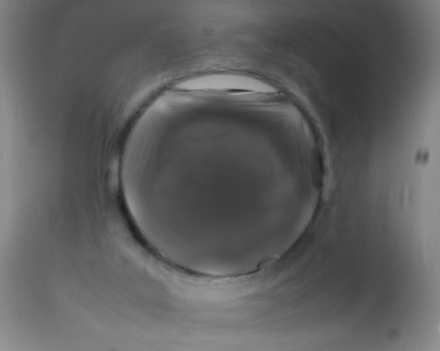 X0000113760019200910211220