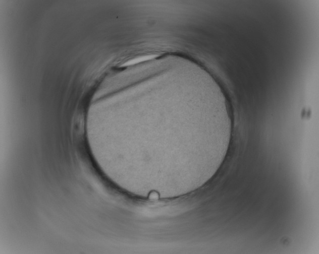 X0000113760021200910211220