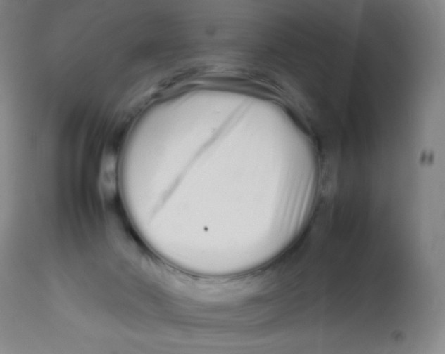 X0000113760022200910211220