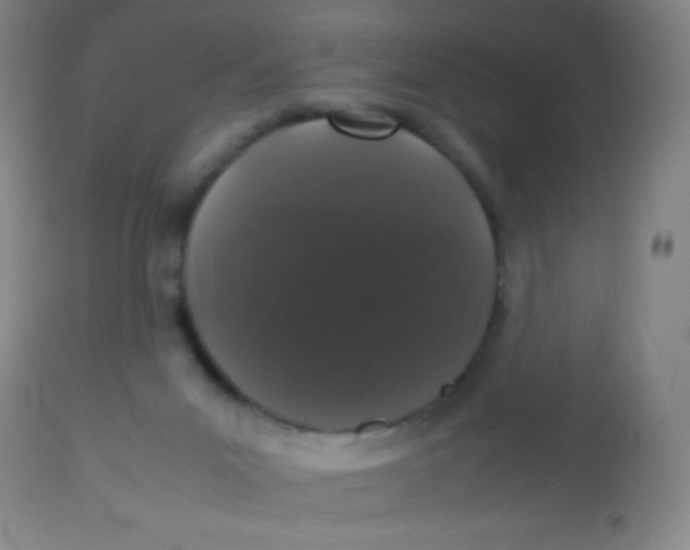 X0000113760023200910211220