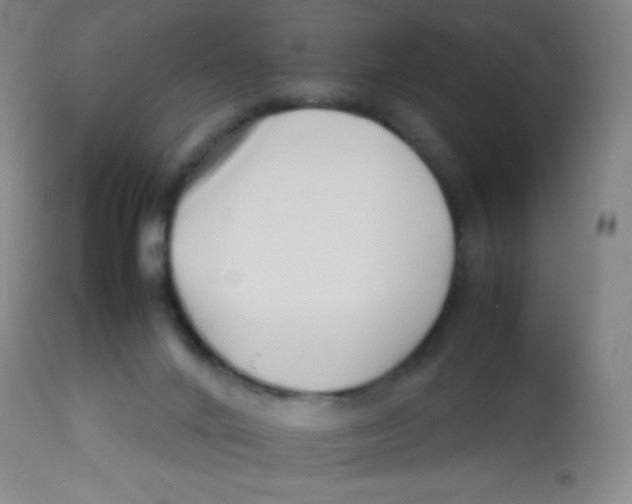 X0000113760024200910211220