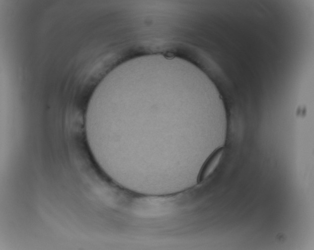 X0000113760025200910211220