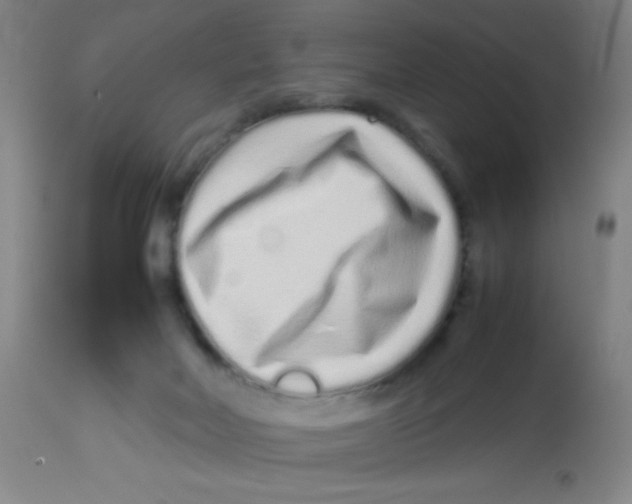 X0000113760026200910211220