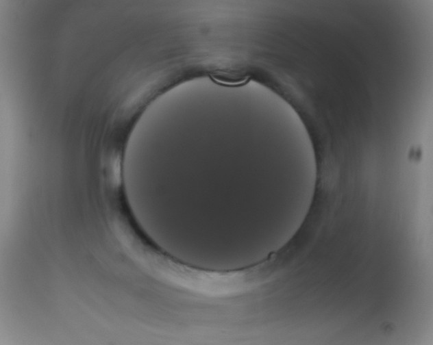 X0000113760027200910211220