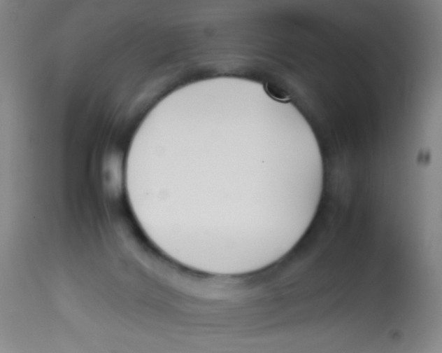 X0000113760028200910211220
