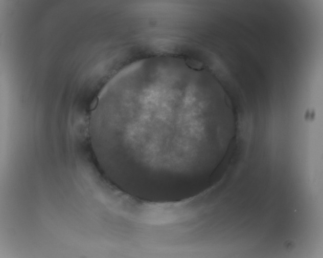 X0000113760029200910211220