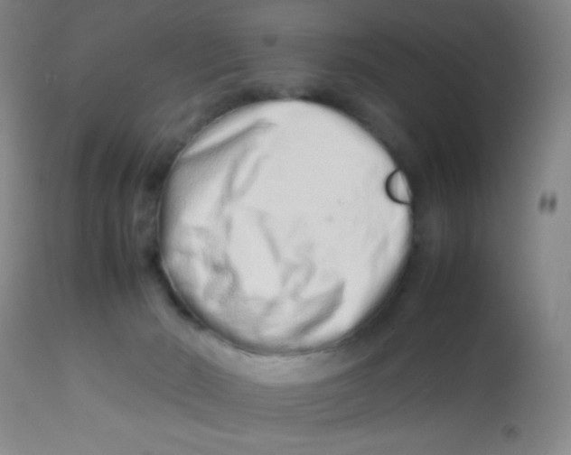 X0000113760030200910211220