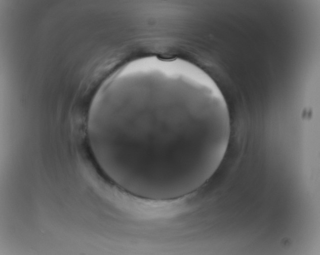 X0000113760031200910211220