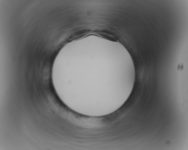 X0000113760032200910211220