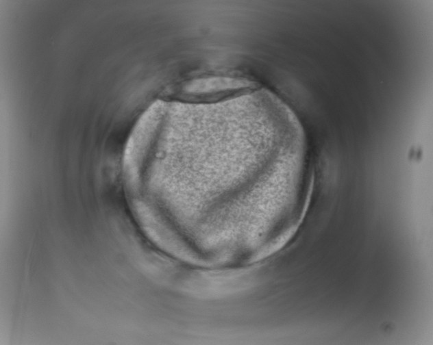 X0000113760033200910211220