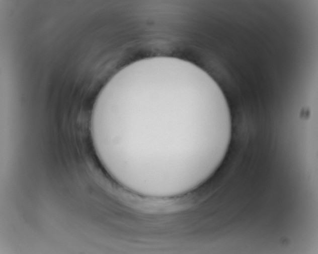 X0000113760034200910211219