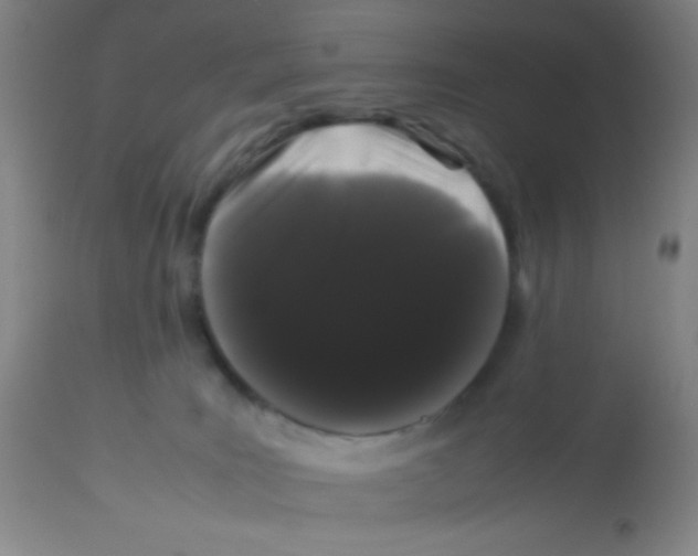 X0000113760035200910211219
