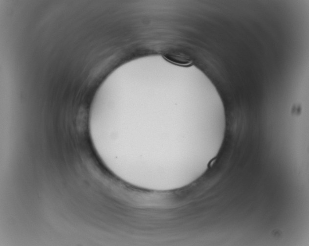 X0000113760036200910211219