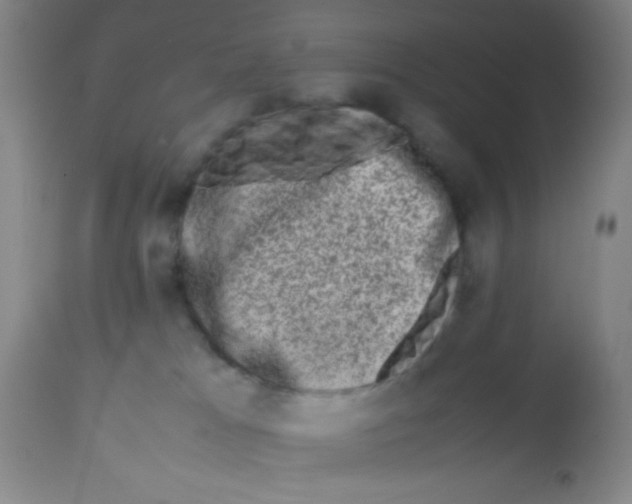 X0000113760037200910211219