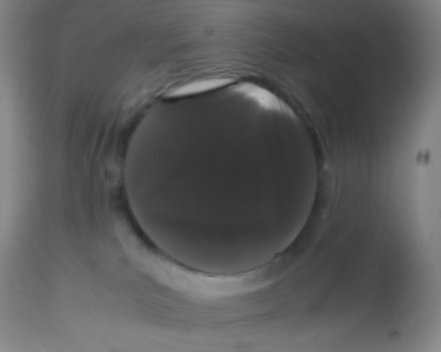 X0000113760039200910211219