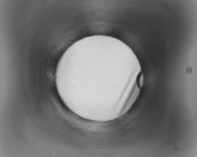 X0000113760040200910211219