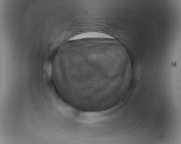 X0000113760041200910211219