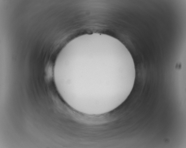 X0000113760042200910211219