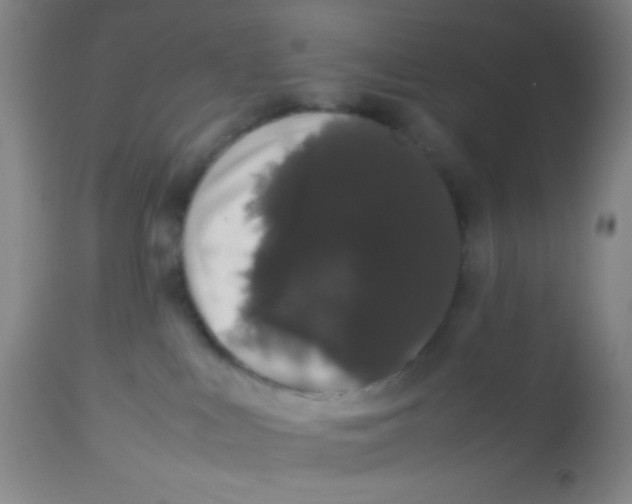 X0000113760043200910211219