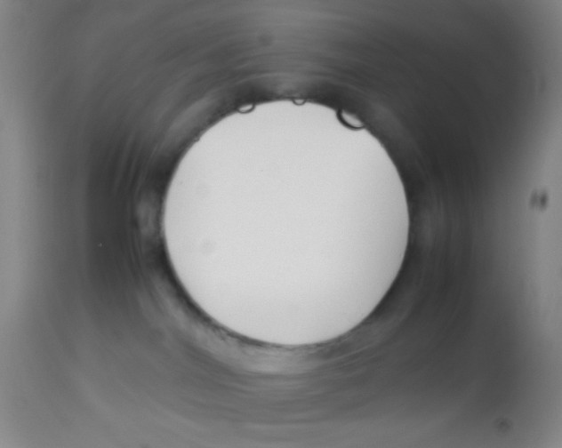 X0000113760044200910211219