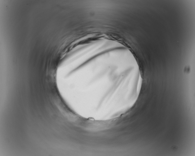 X0000113760045200910211219